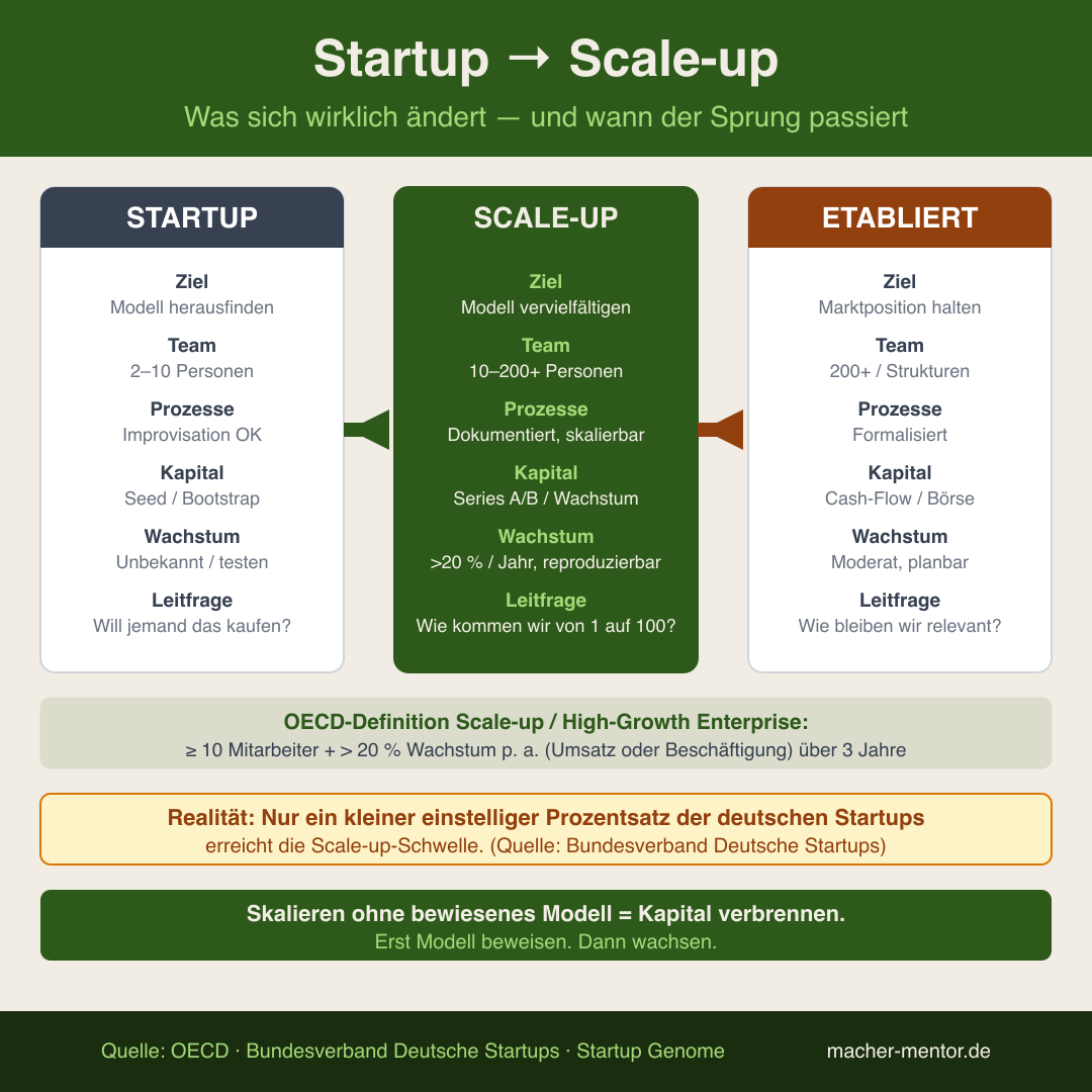 Infografik: Startup vs. Scale-up vs. etabliertes Unternehmen — Vergleich nach Wachstum, Mitarbeiterzahl, Finanzierung und Reife des Geschäftsmodells